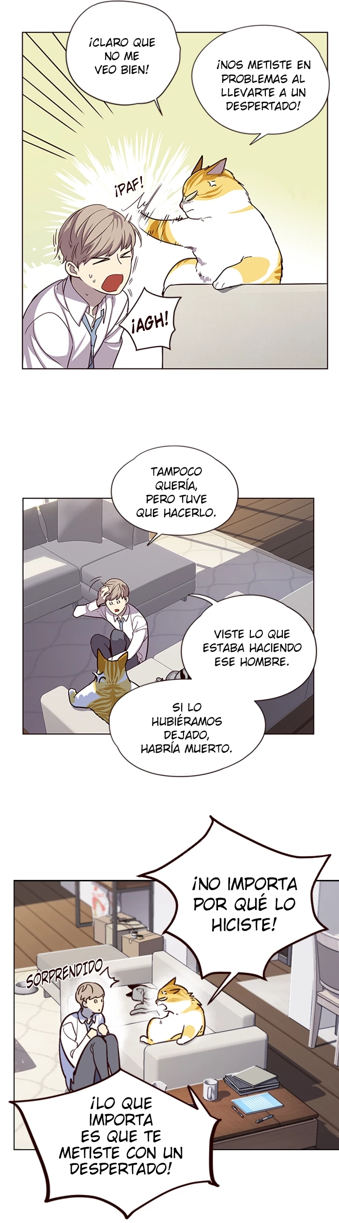 Página 6