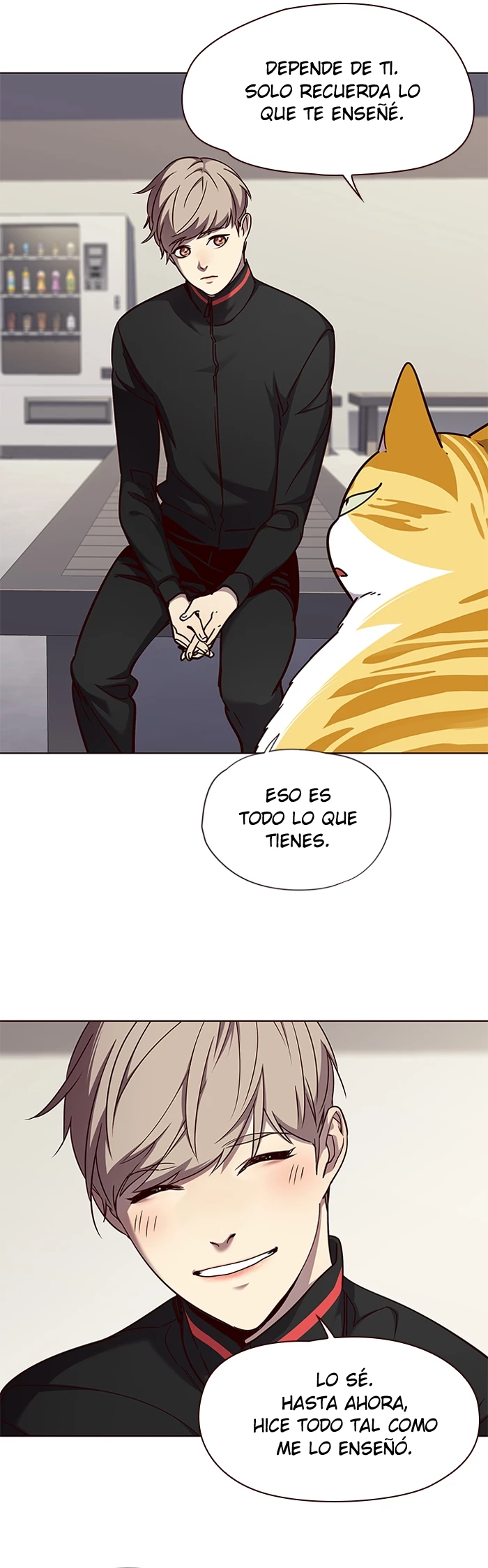 Página 19