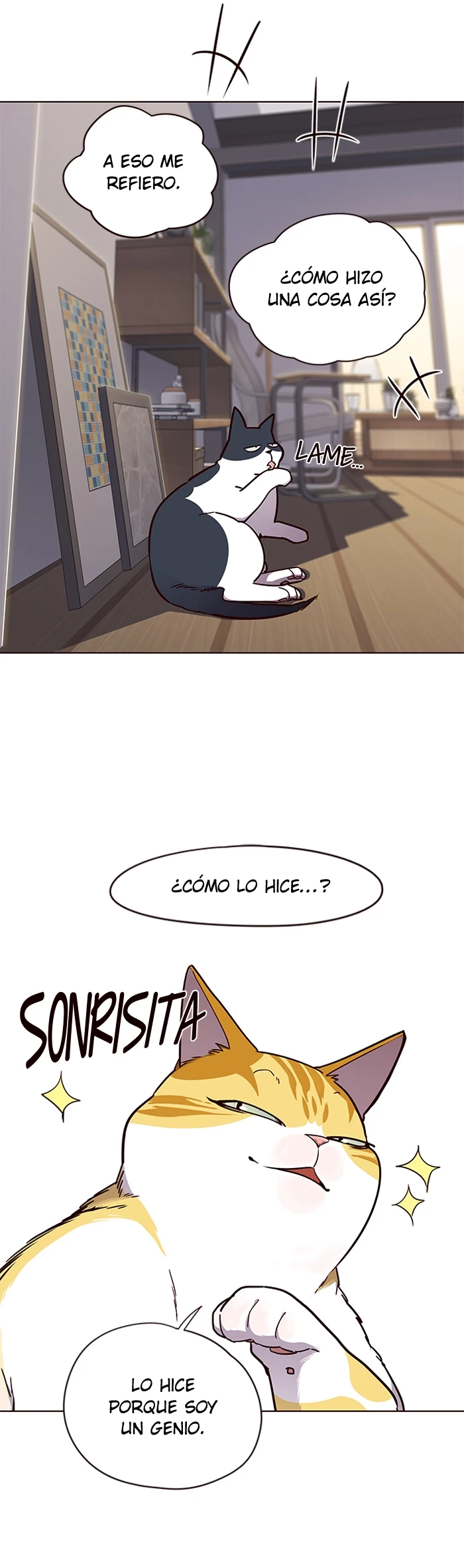 Página 26