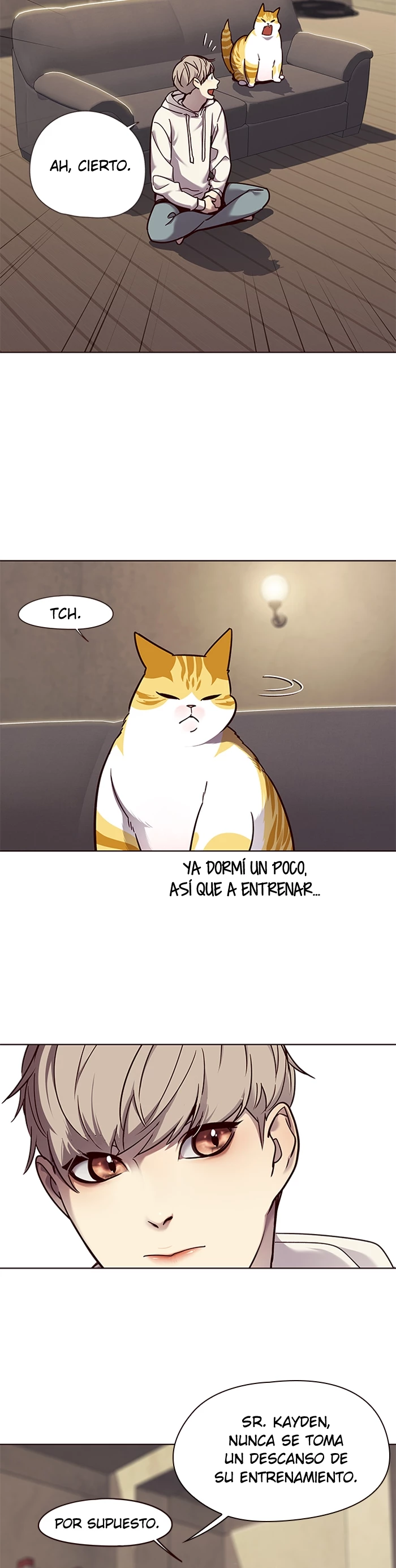Página 8