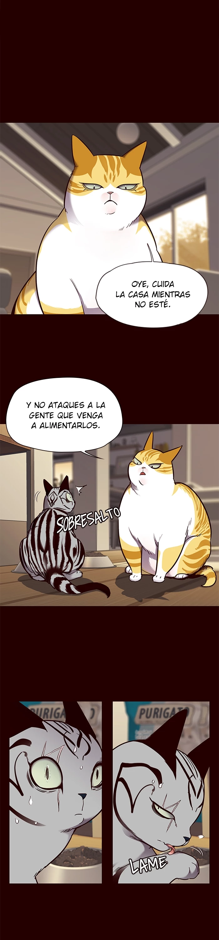 Página 16
