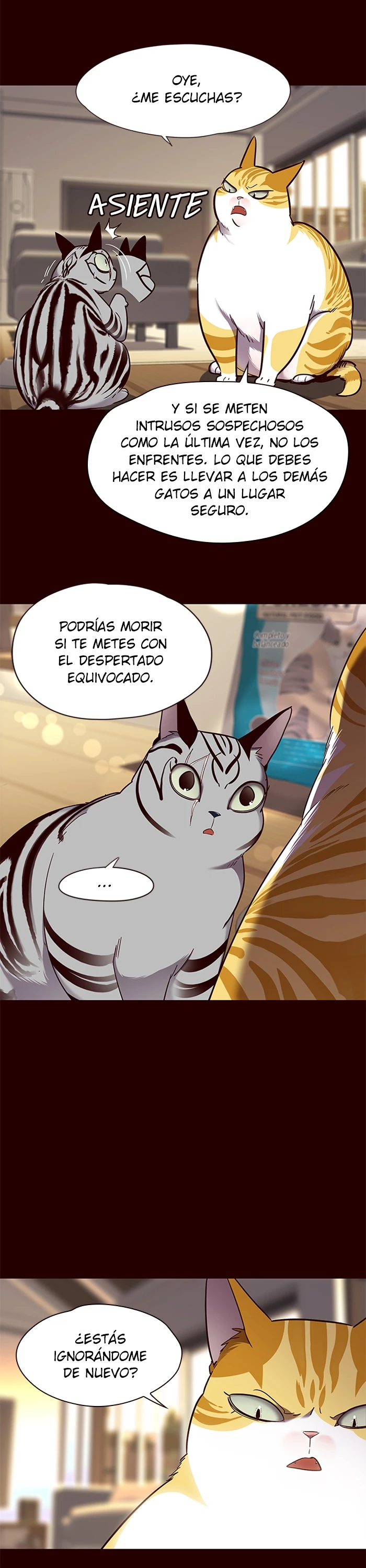 Página 17
