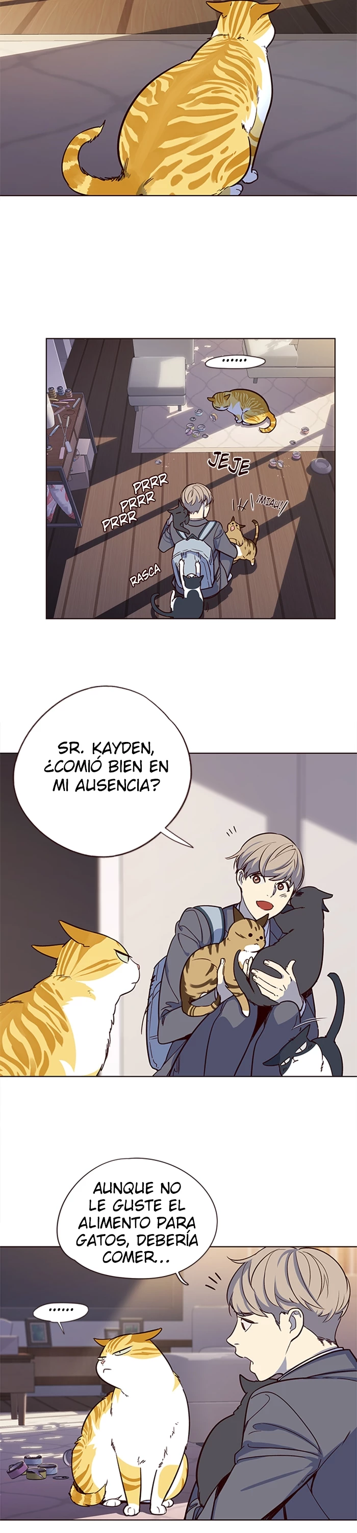 Página 31