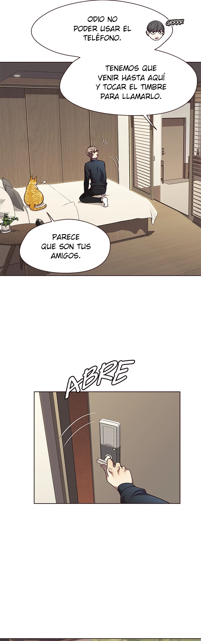 Página 4