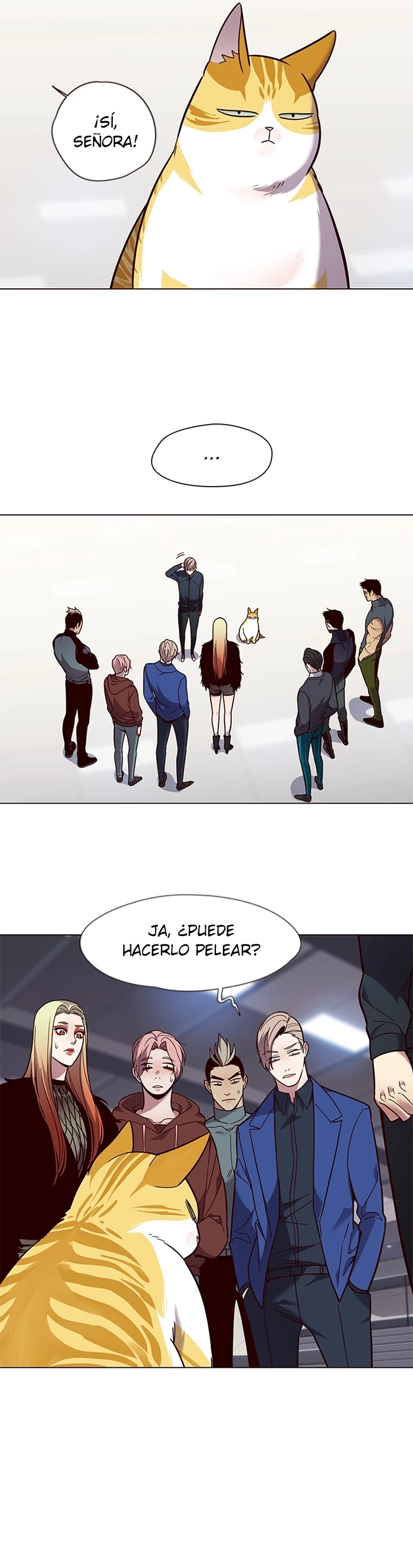 Página 19