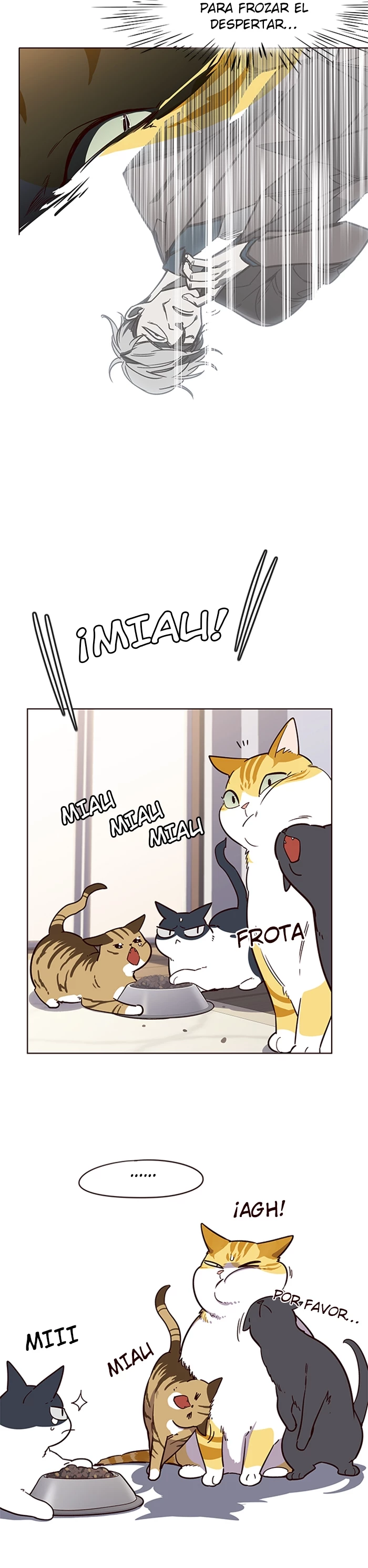 Página 14