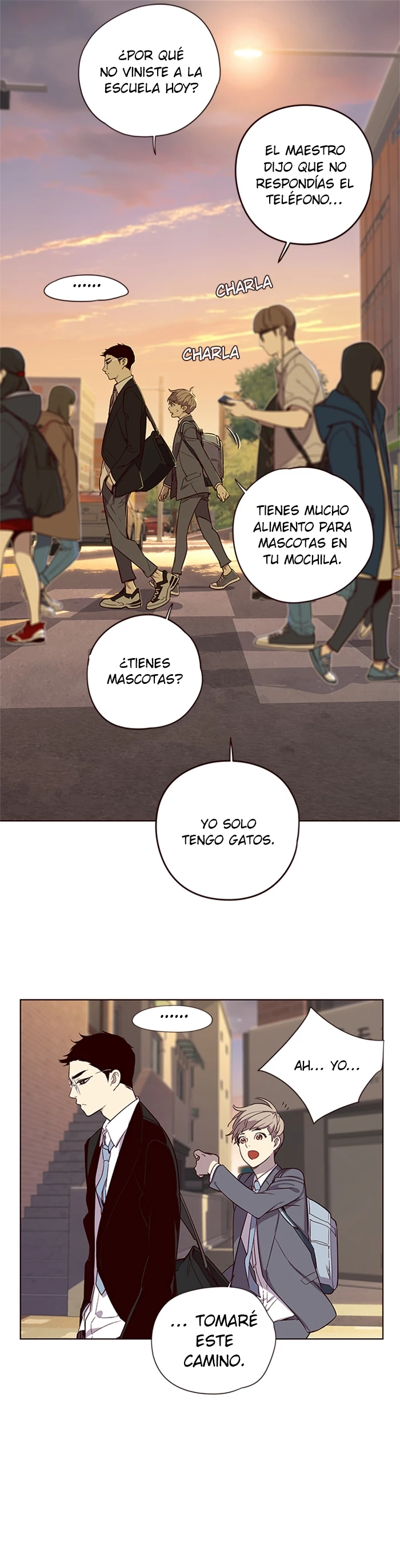 Página 31