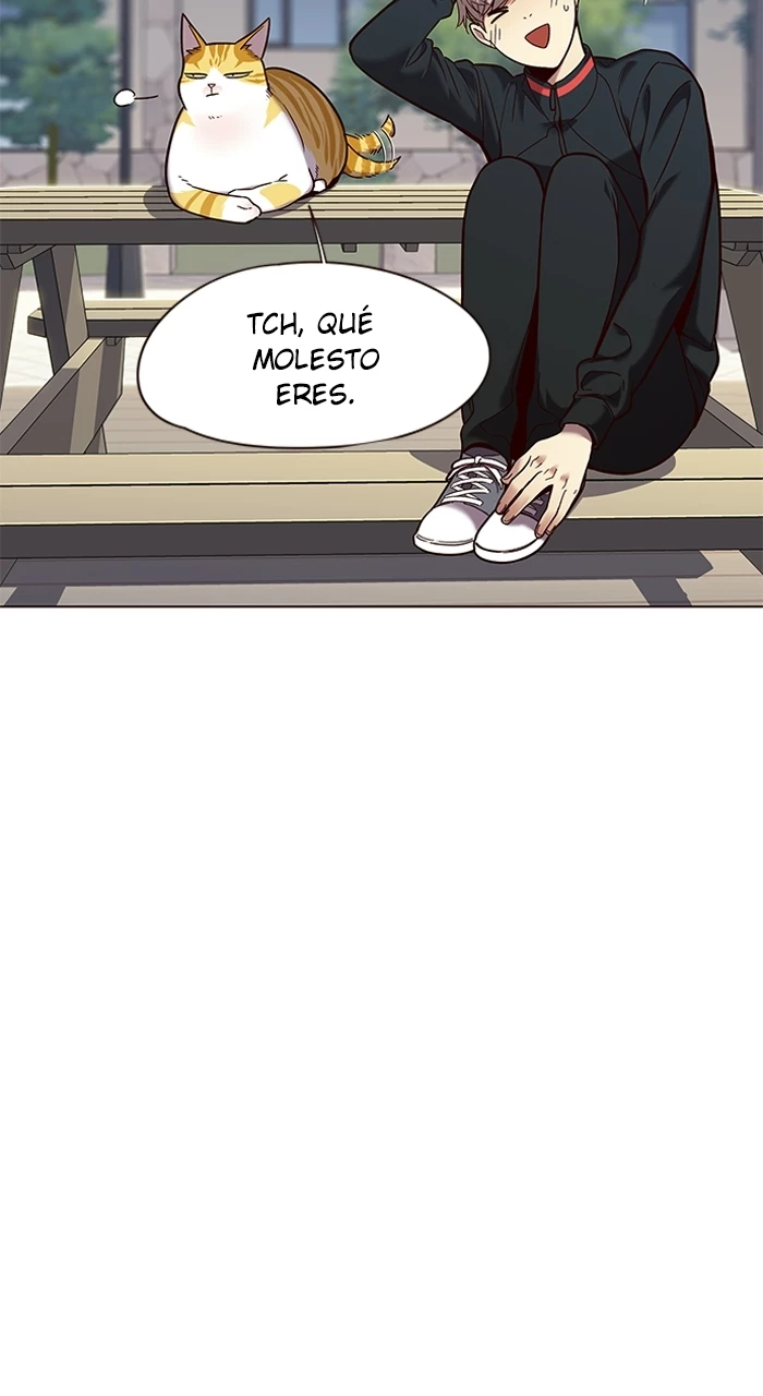 Página 51
