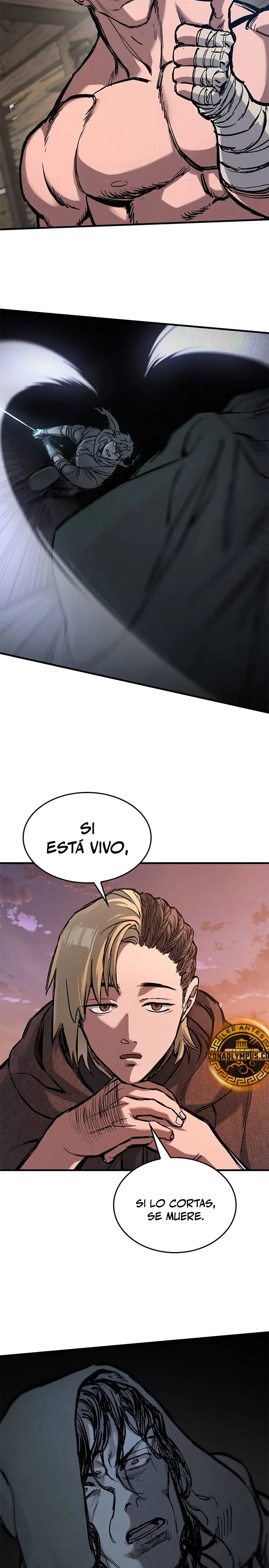 Página 31