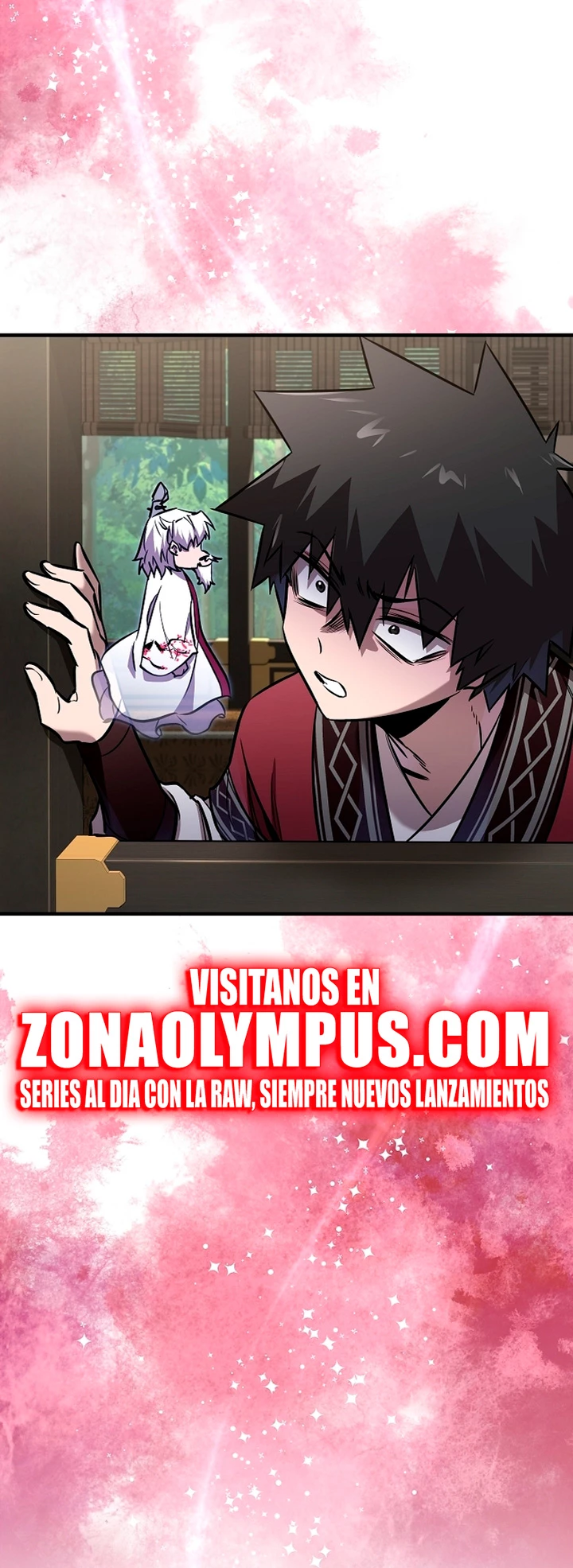 Página 17