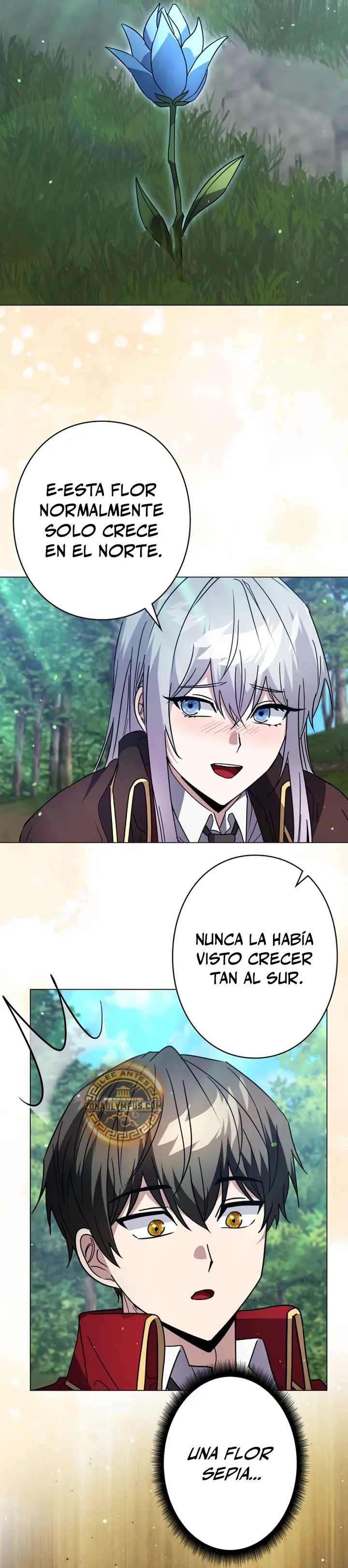 Página 31