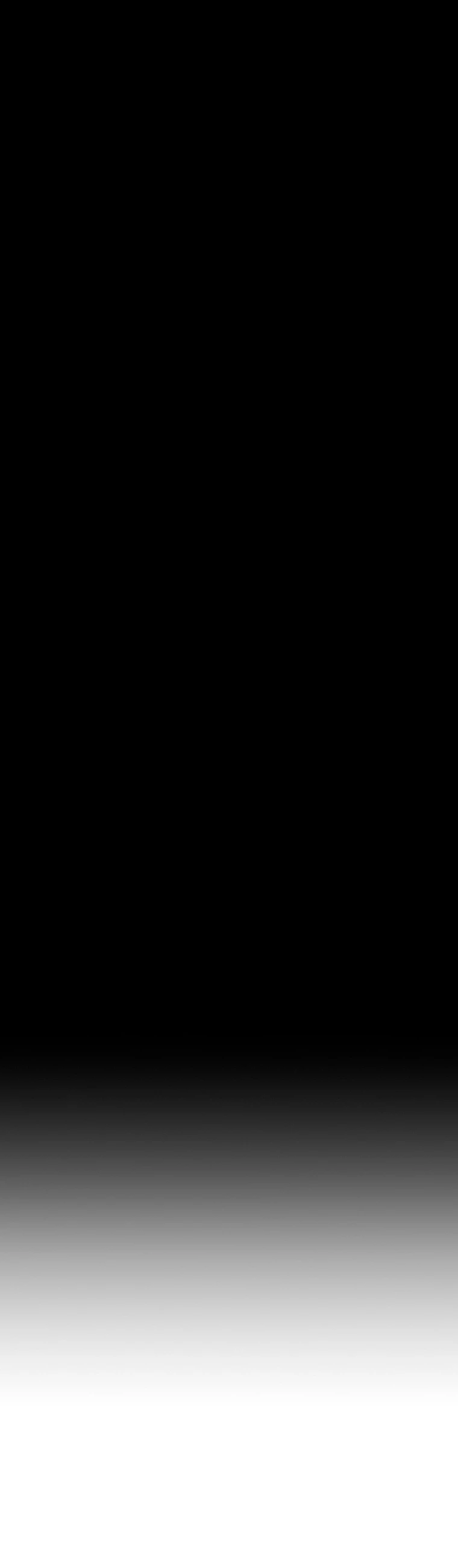 Página 137