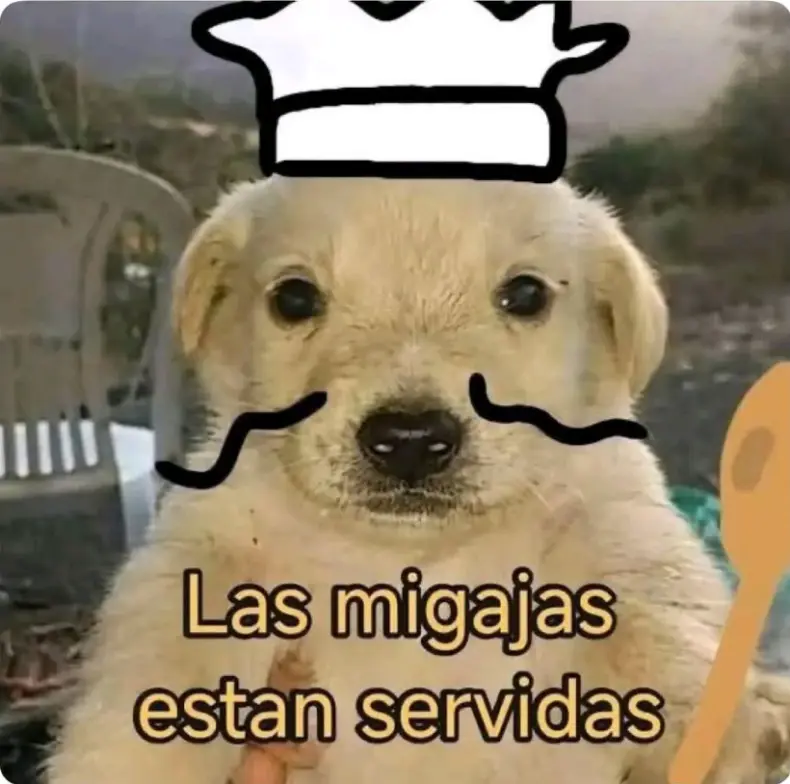 Página 39