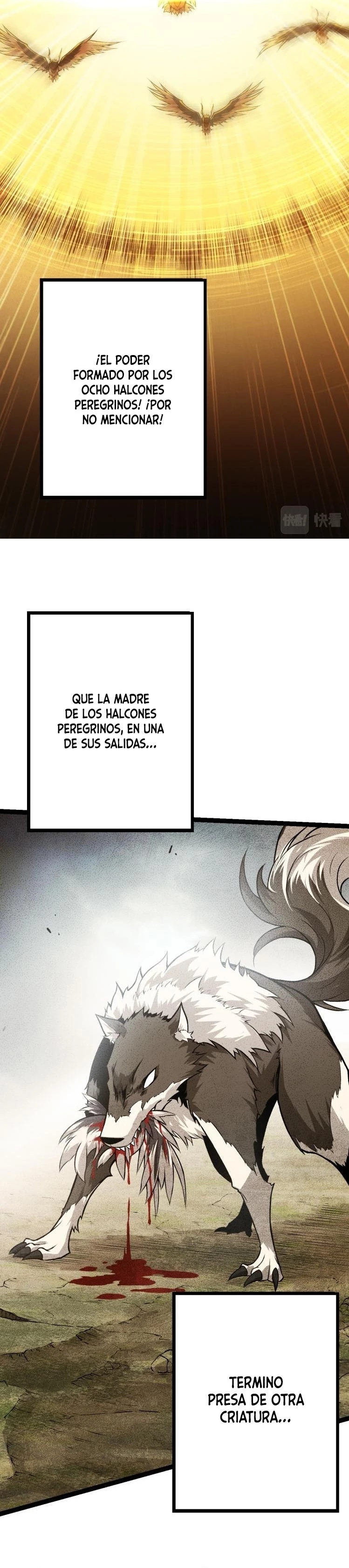 Página 8