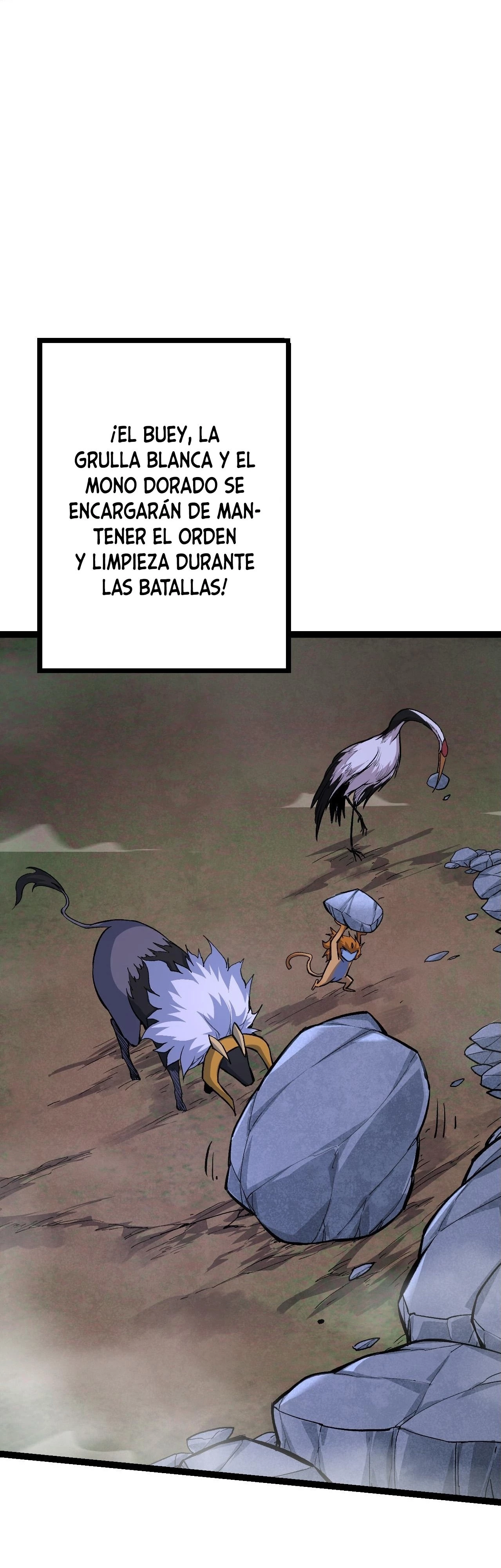 Página 43