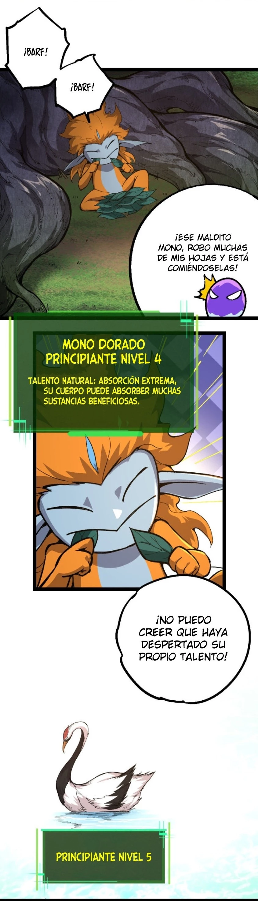 Página 16