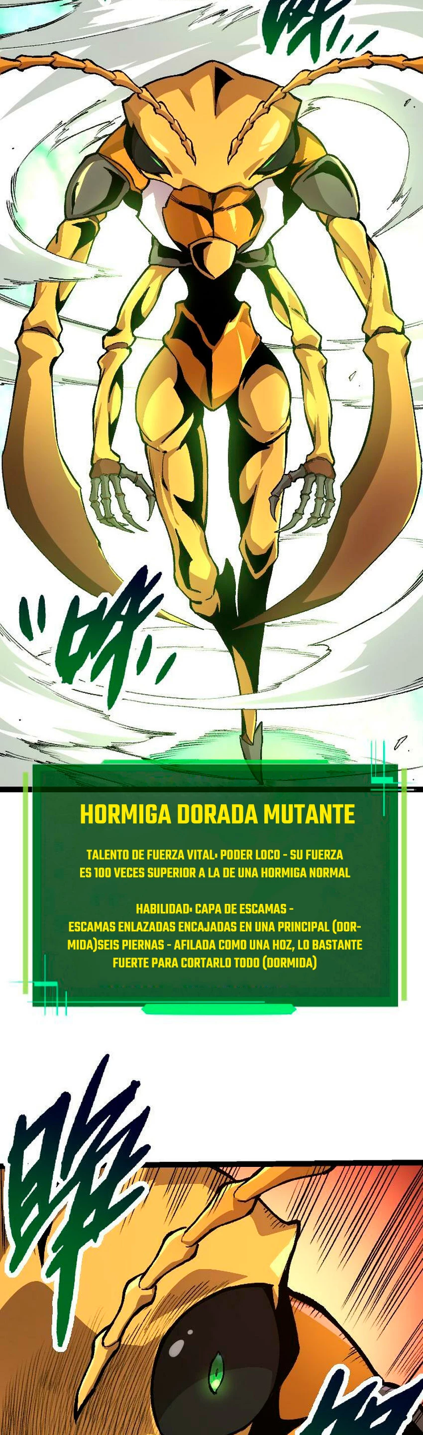 Página 26