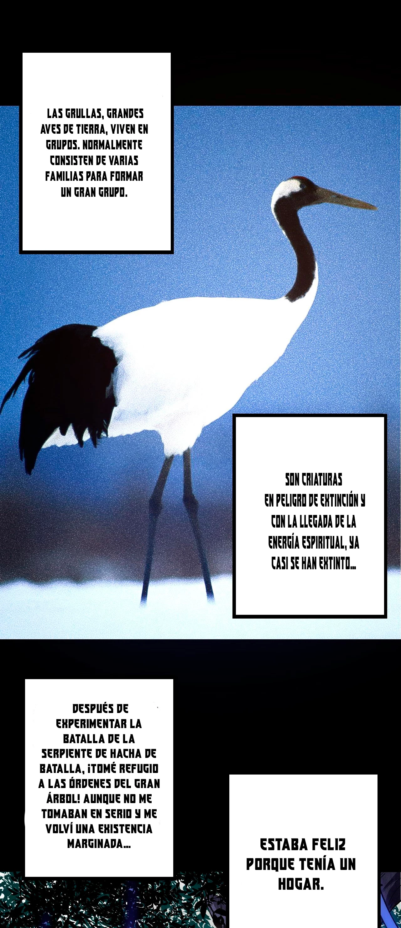 Página 38