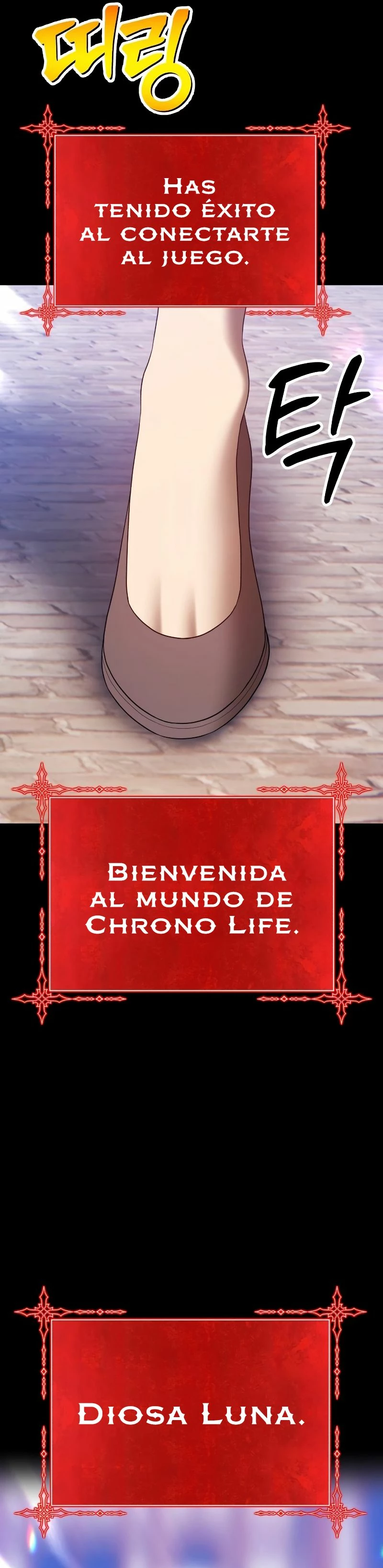 Página 5