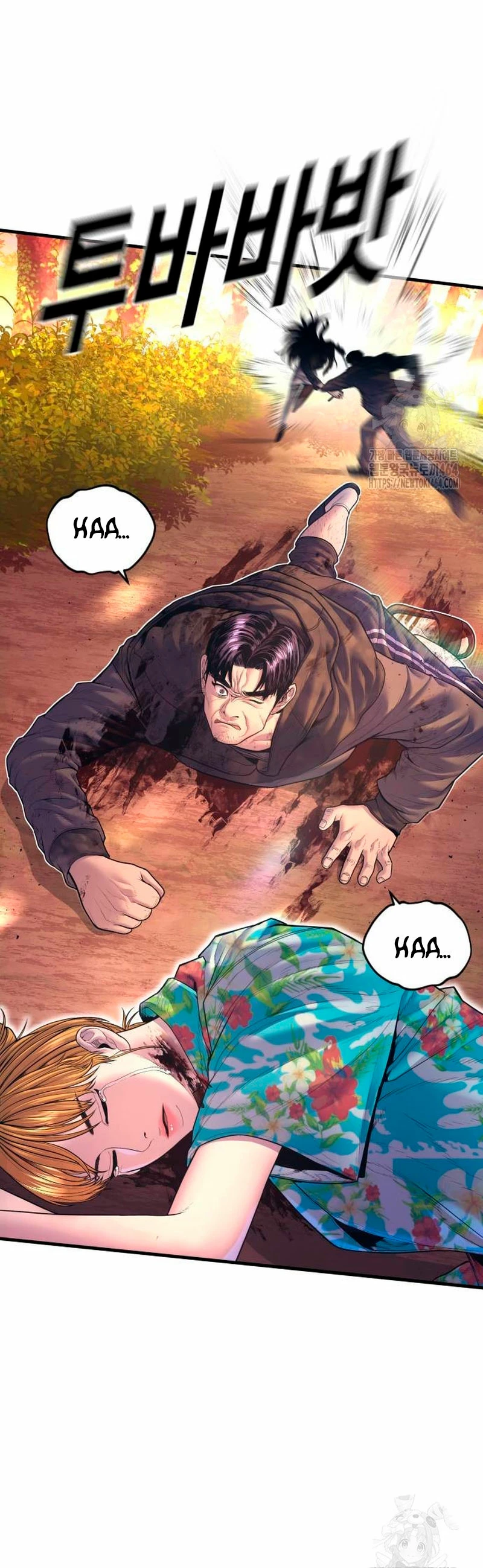 Página 46