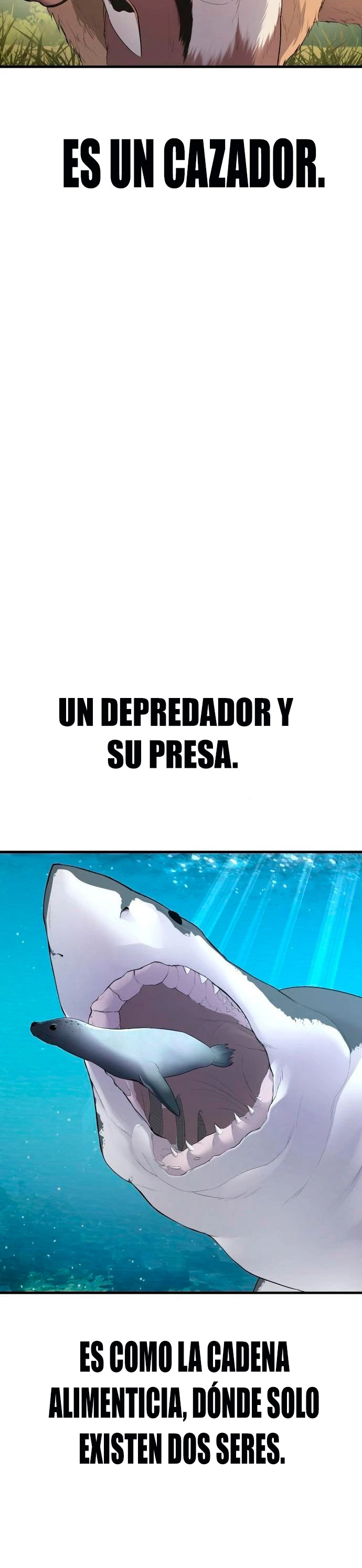 Página 66