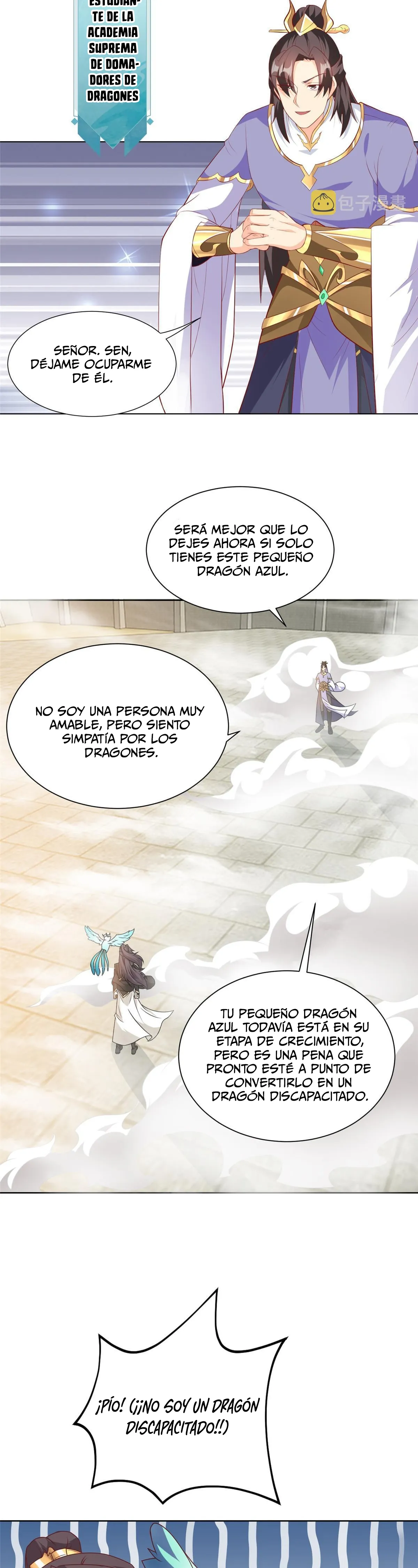 Página 11