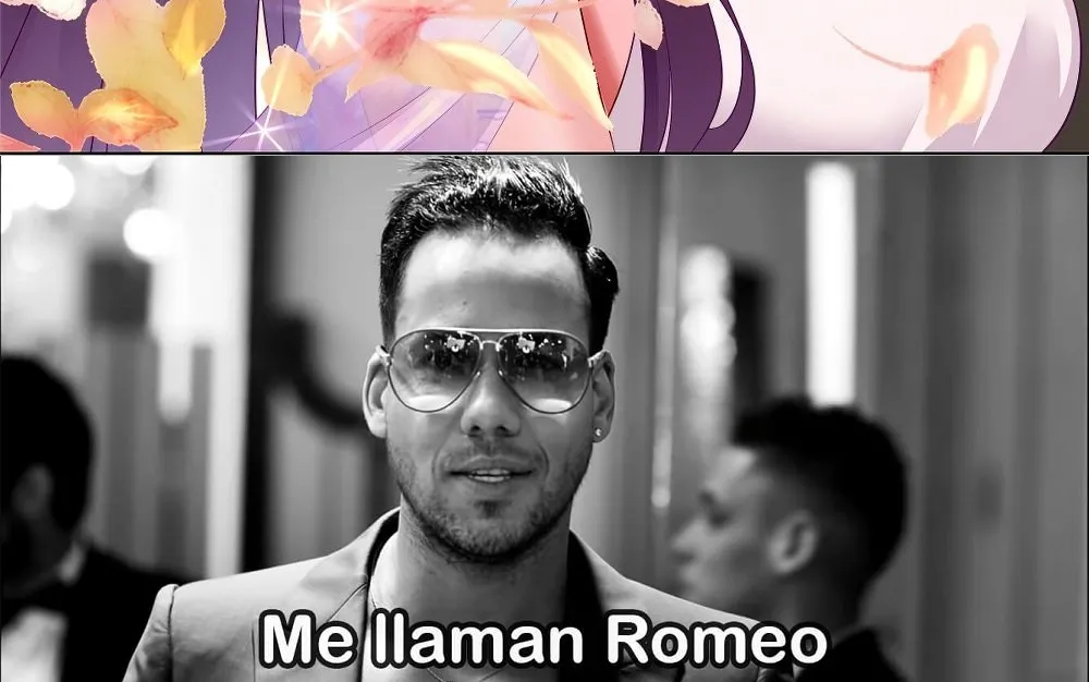 Página 14