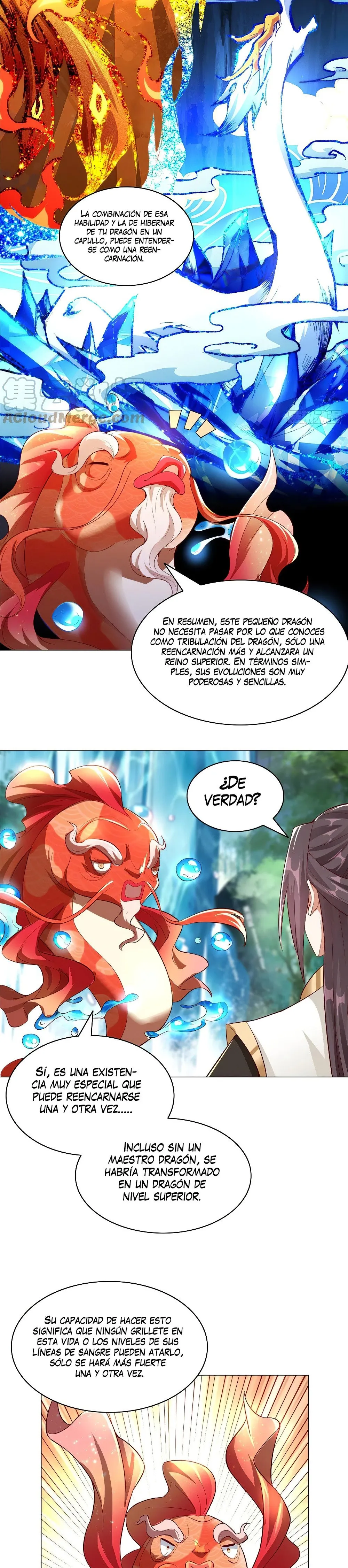 Página 4