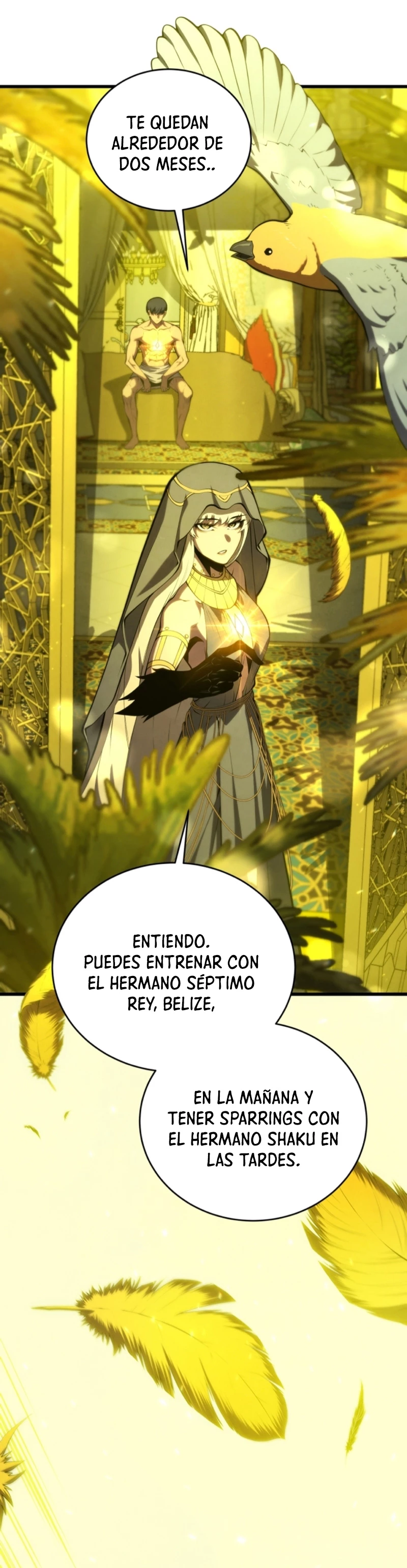 Página 36