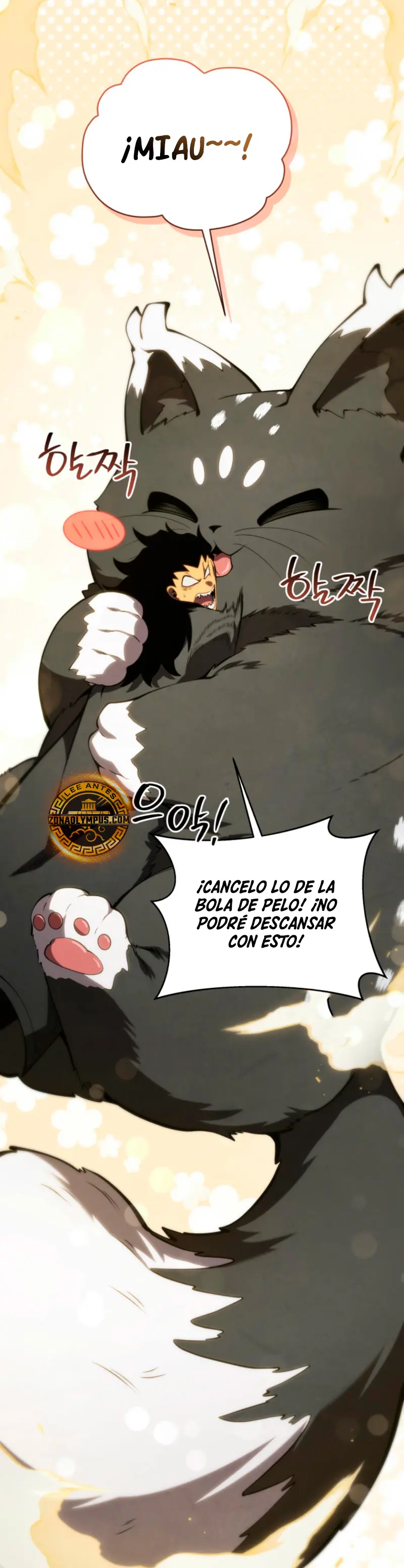 Página 43