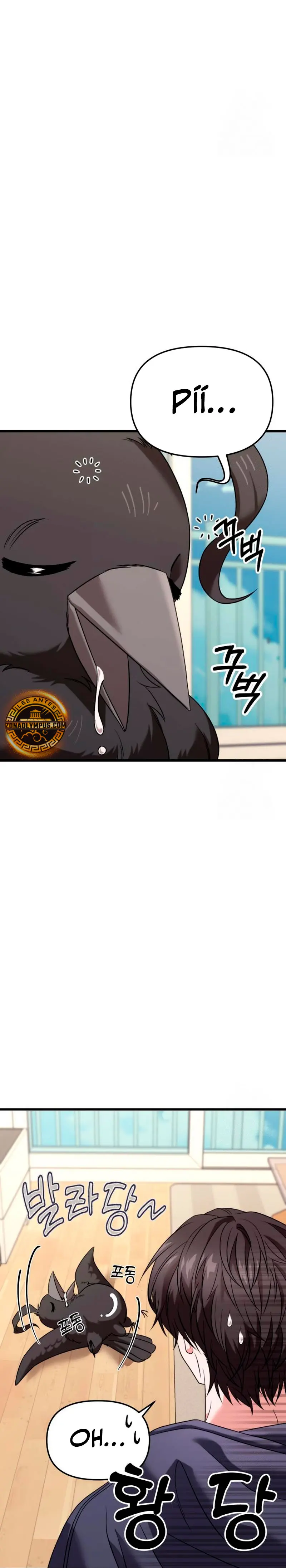 Página 46