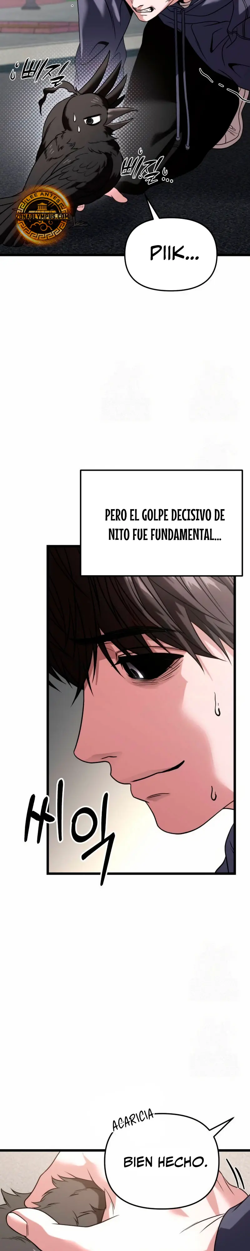 Página 42