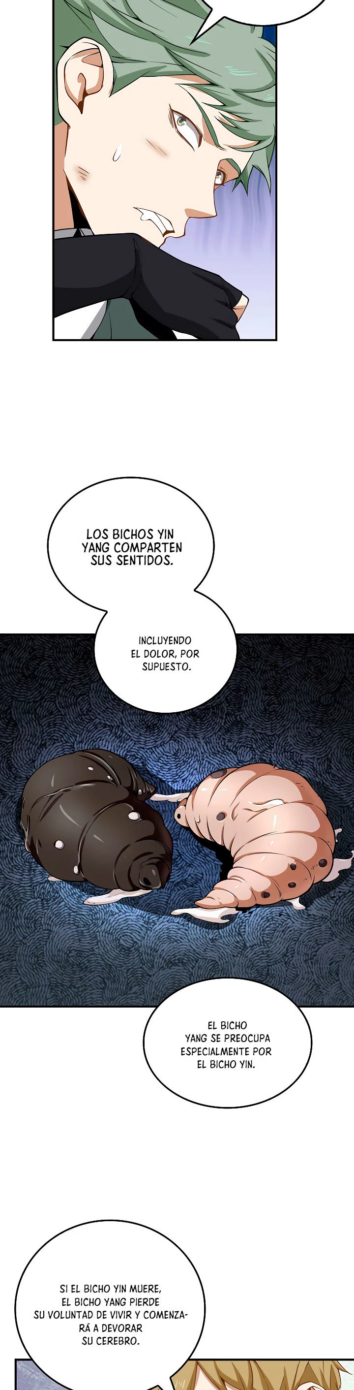 Página 19