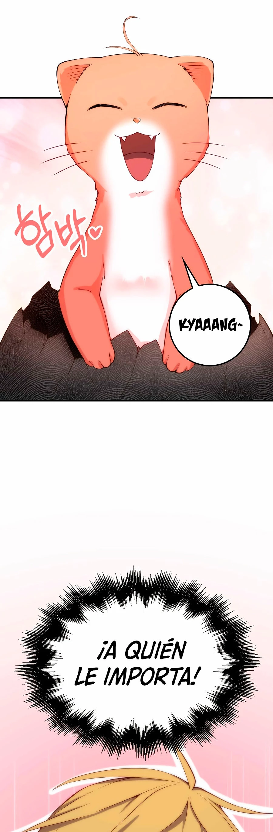 Página 46
