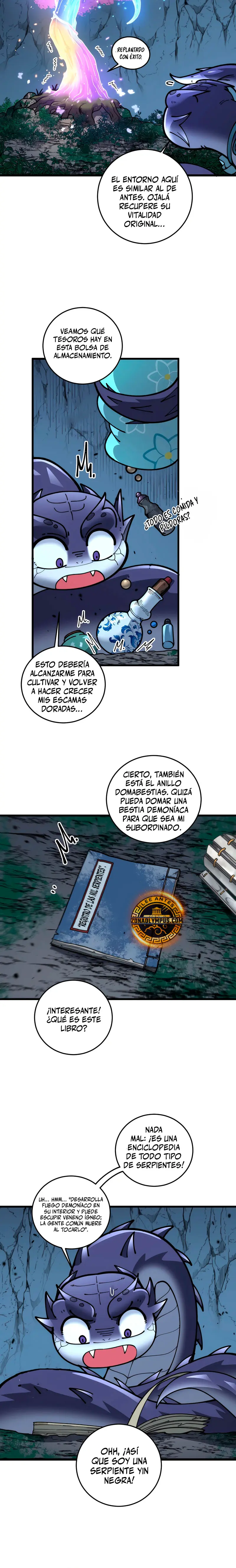 Página 17