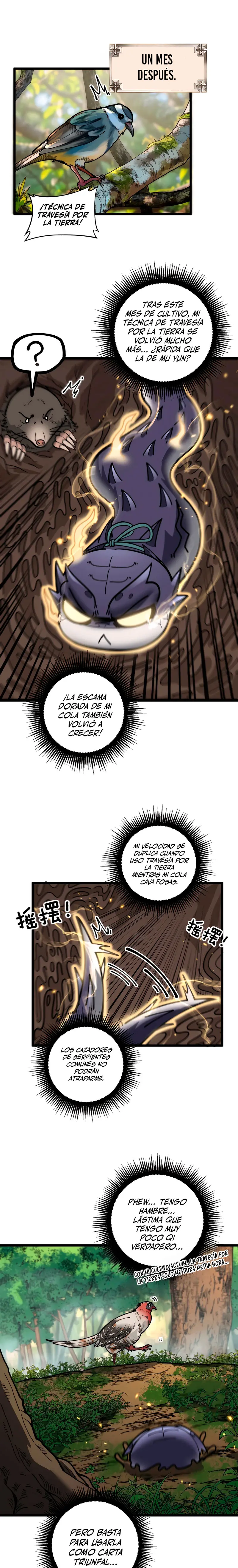 Página 19