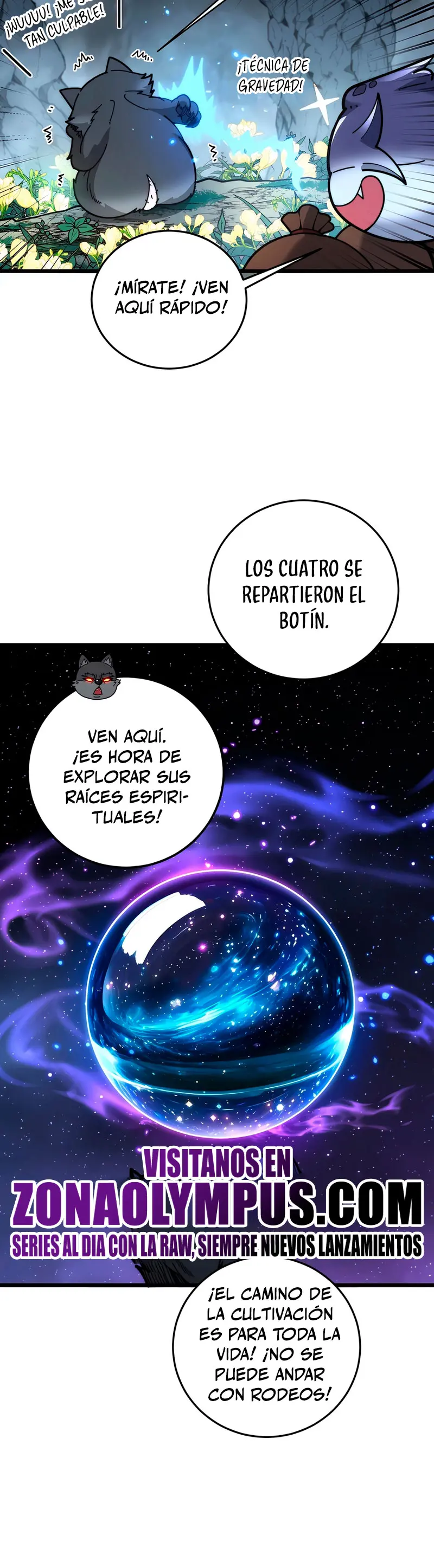 Página 31