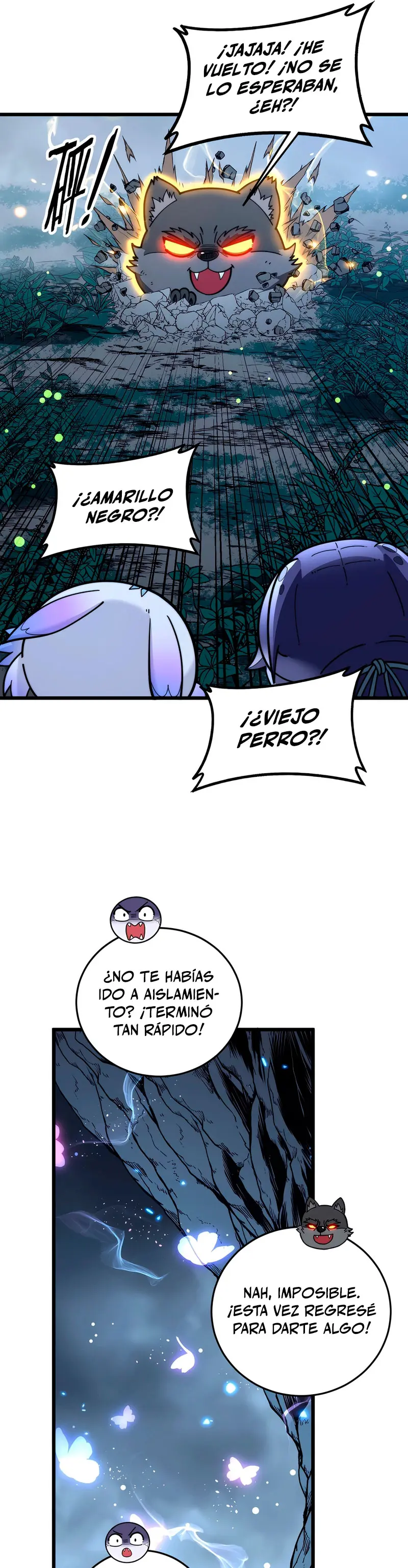 Página 11