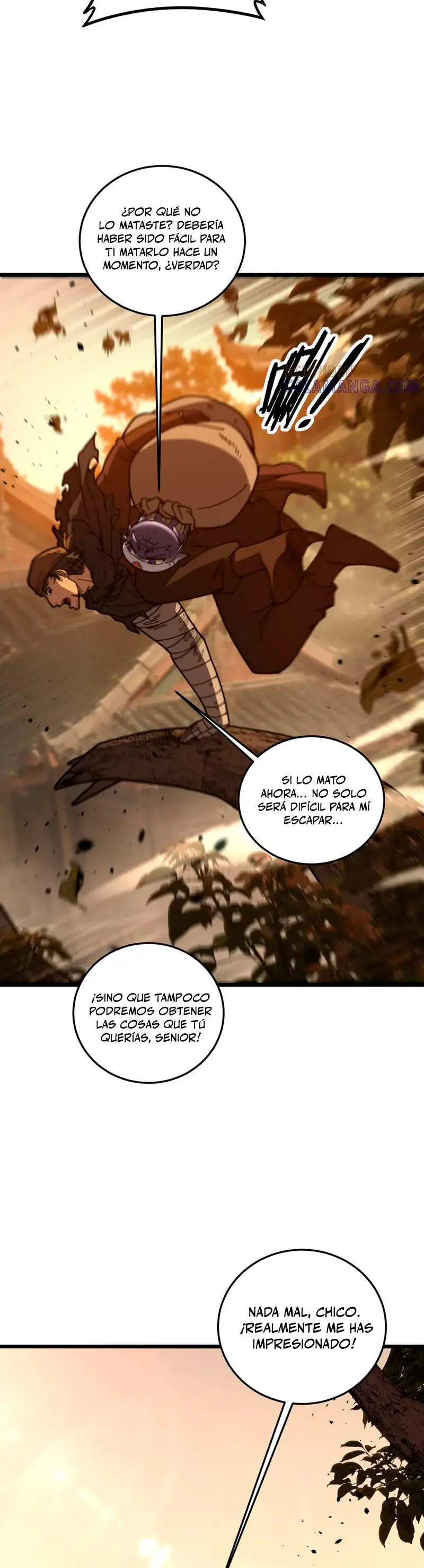 Página 31