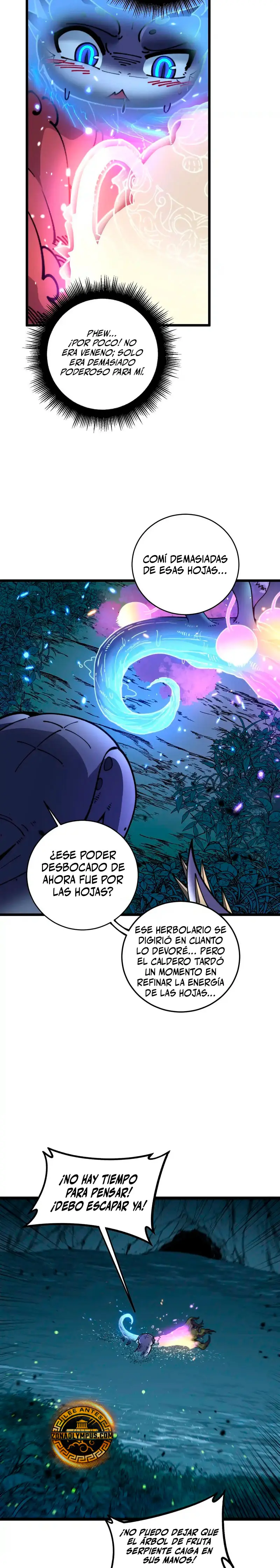 Página 5
