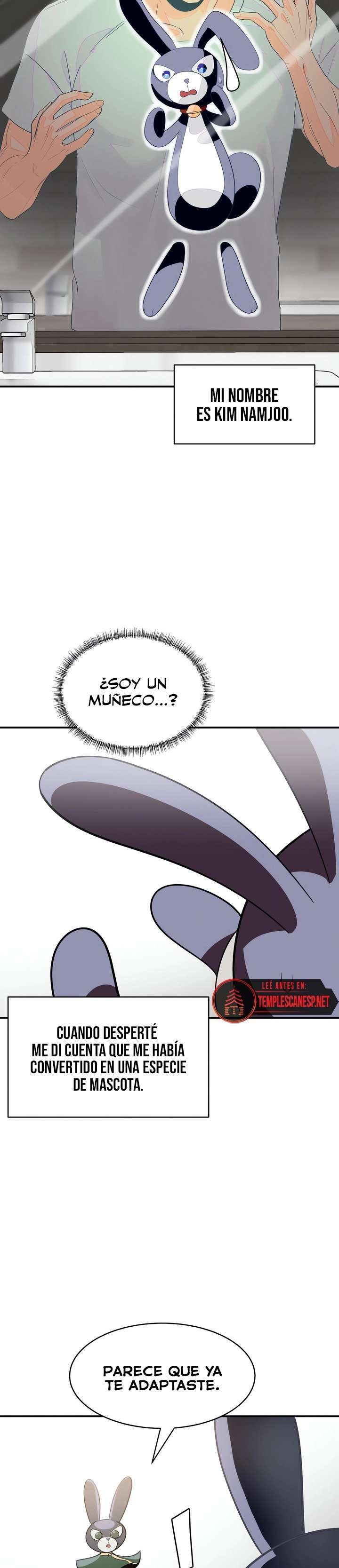 Página 5