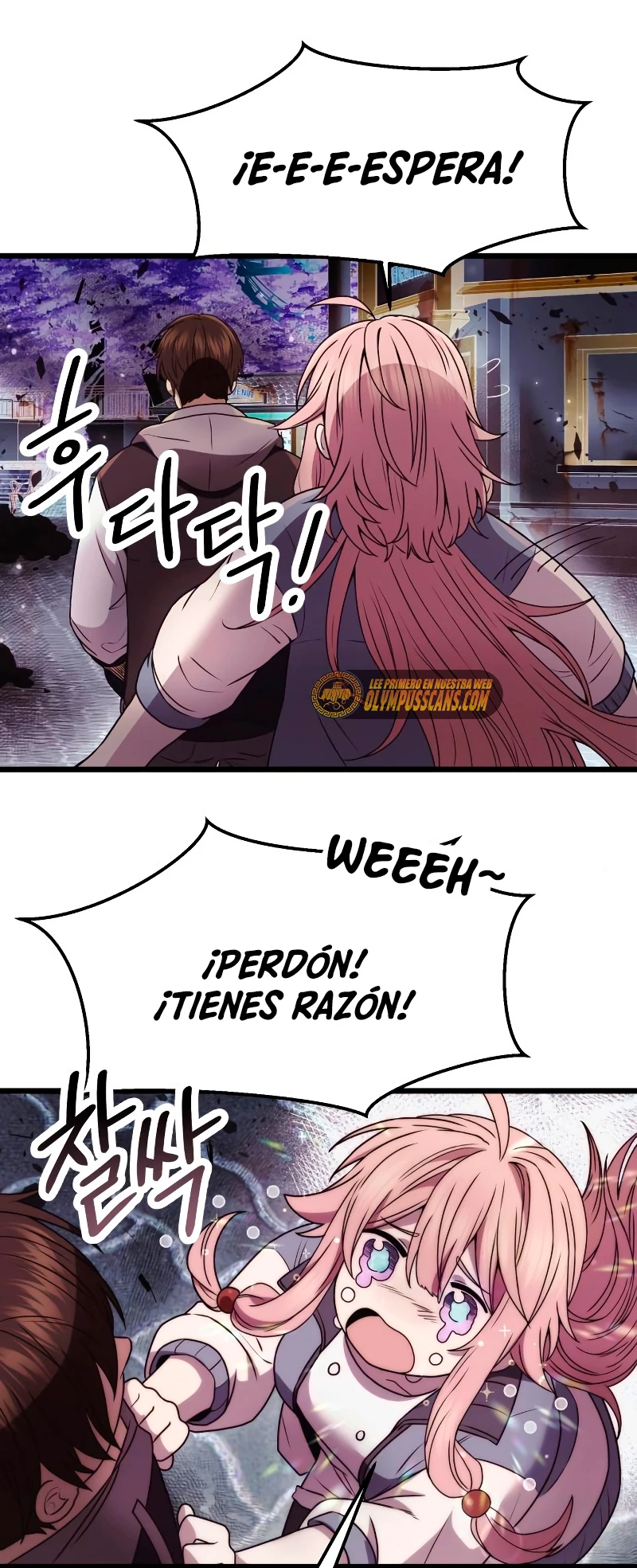 Página 43