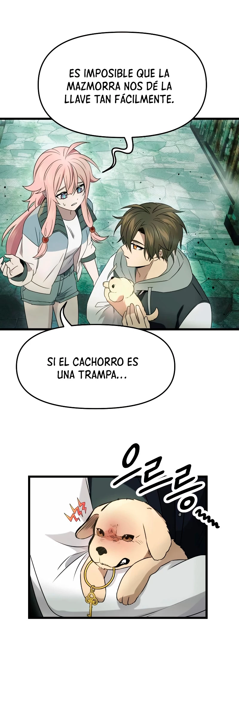 Página 19