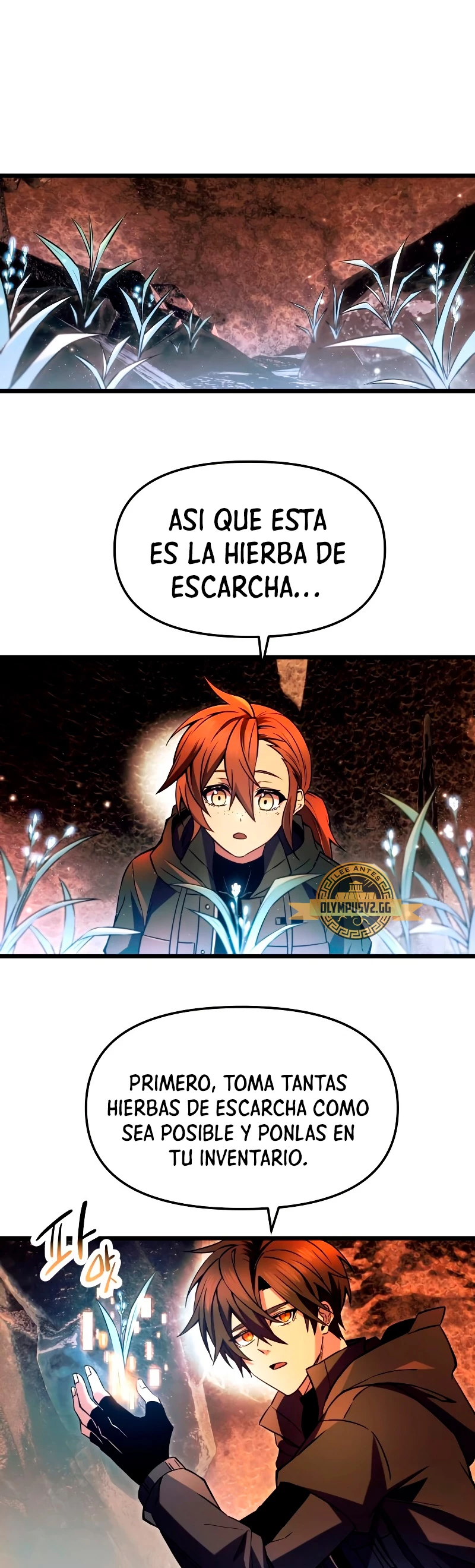 Página 17