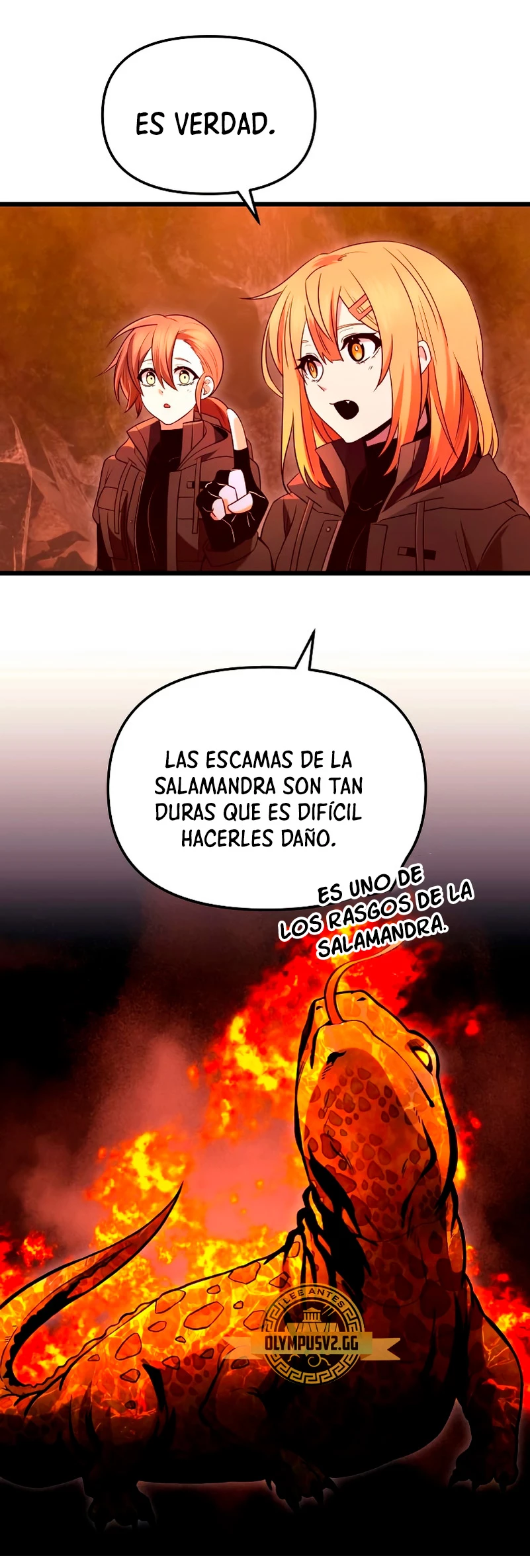 Página 36
