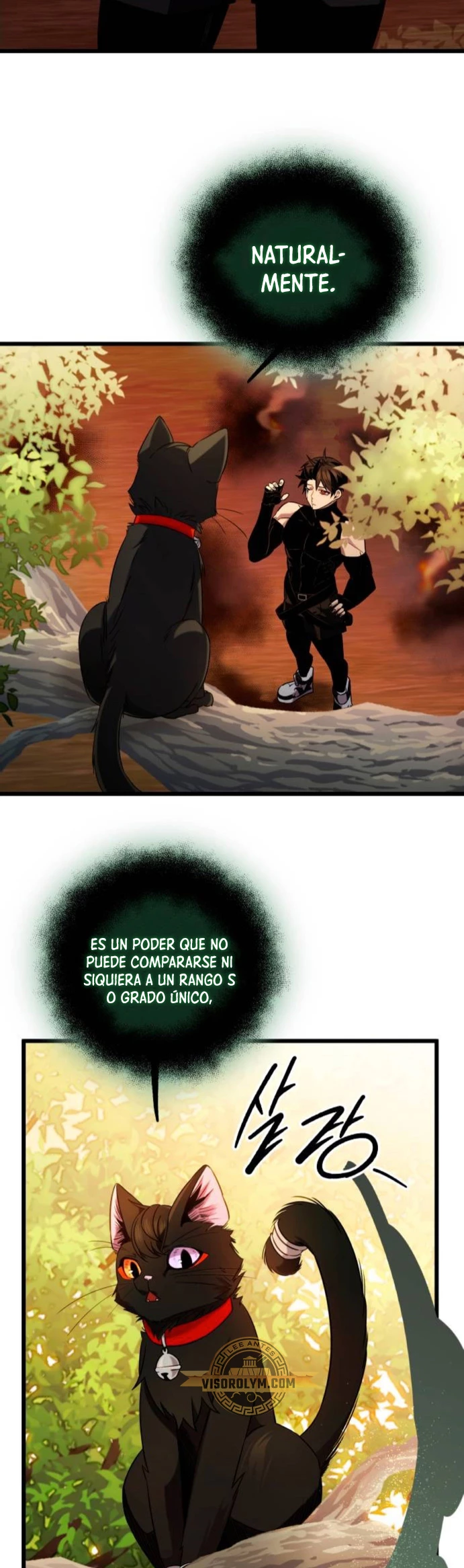 Página 29