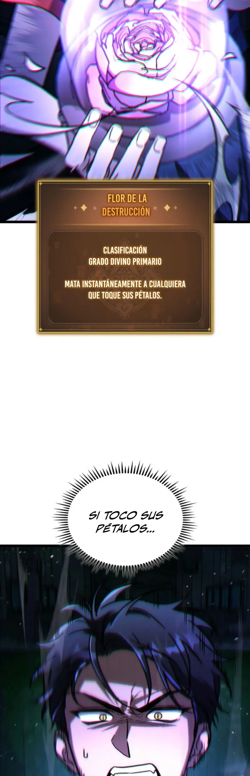 Página 40