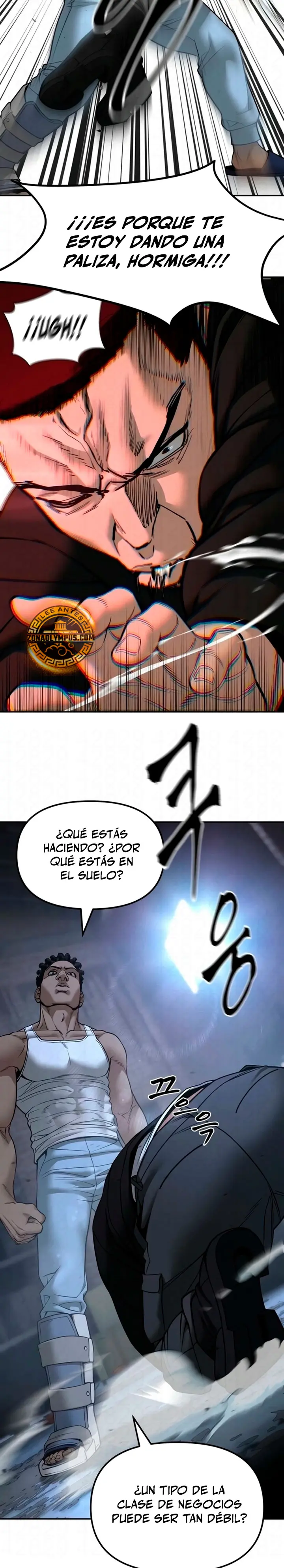 Página 5