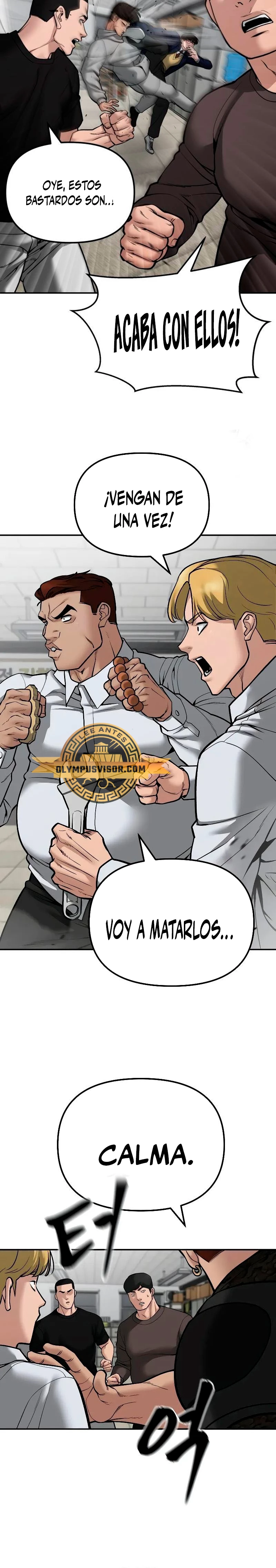 Página 43