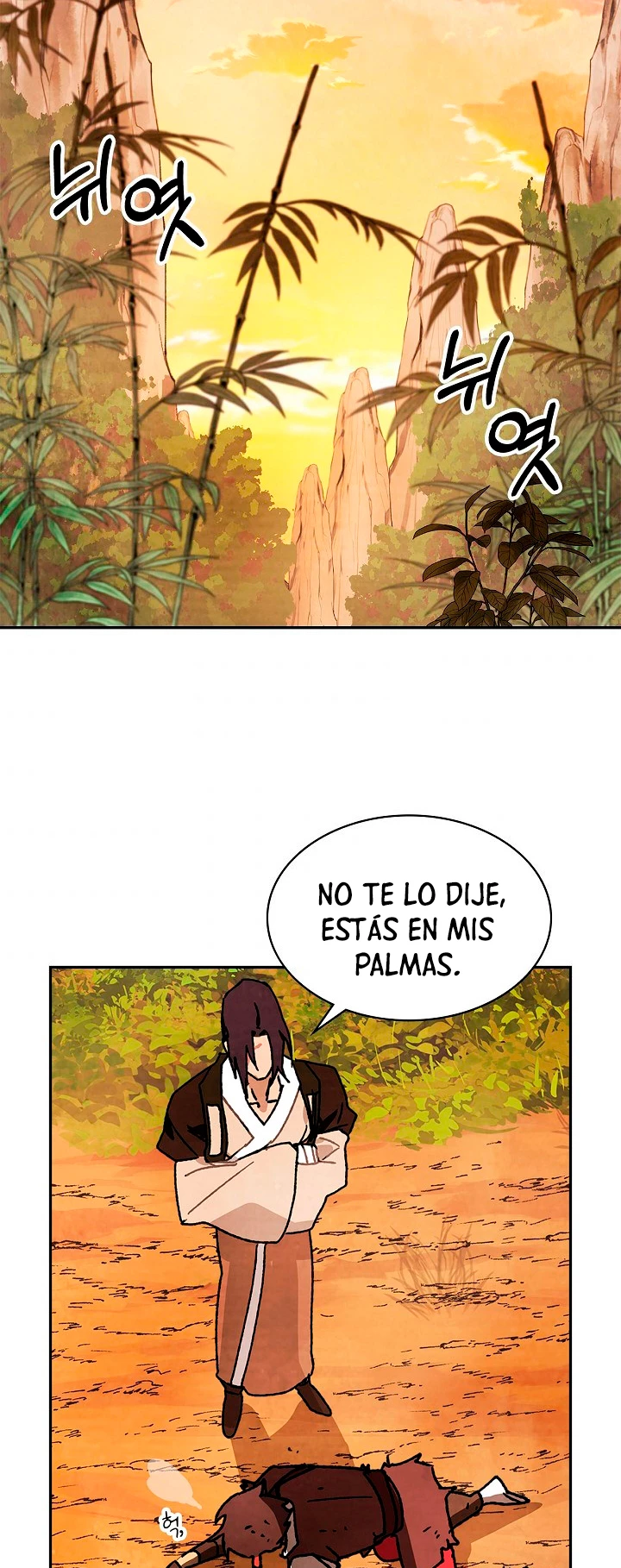 Página 51